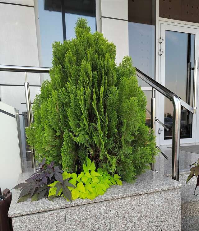 Гостиница Авангард Краснодар-59